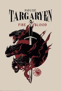 Poster, Affisch Game of Thrones - House Targaryen, (61 x 91.5 cm)