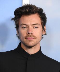 Fotografi Harry Styles at the Premiere Of My Policeman, Steve Granitz