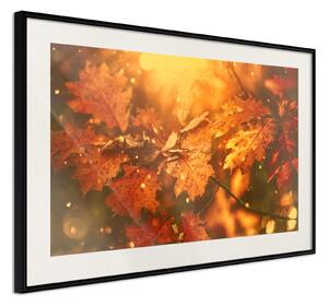 Inramad Poster / Tavla - Golden Autumn - 90x60 Guldram med passepartout