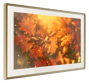 Inramad Poster / Tavla - Golden Autumn - 45x30 Svart ram med passepartout