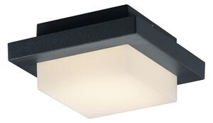 Hondo LED Plafond antracit - Vit