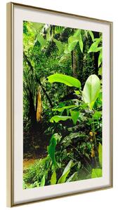 Inramad Poster / Tavla - In the Rainforest - 20x30 Guldram