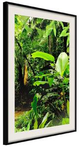 Inramad Poster / Tavla - In the Rainforest - 20x30 Guldram