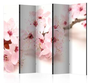 Rumsavdelare / Skärmvägg - Cherry Blossom II - 225x172
