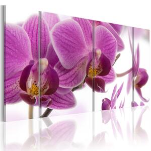 Canvas Tavla - Marvelous orchid - 60x30