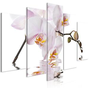 Canvas Tavla - Delightful Orchid (5 delar) Wide - 100x50