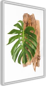 Inramad Poster / Tavla - Leafy Etude - 20x30 Vit ram
