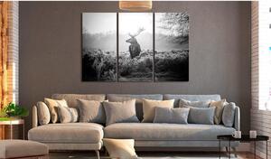 Canvas Tavla - Black and White Deer I - 90x60