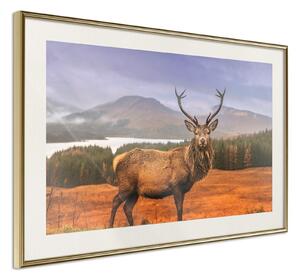 Inramad Poster / Tavla - Majestic Deer - 30x20 Guldram