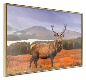 Inramad Poster / Tavla - Majestic Deer - 60x40 Guldram