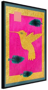 Inramad Poster / Tavla - Native American Hummingbird - 20x30 Svart ram