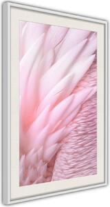 Inramad Poster / Tavla - Pink Feathers - 40x60 Vit ram med passepartout