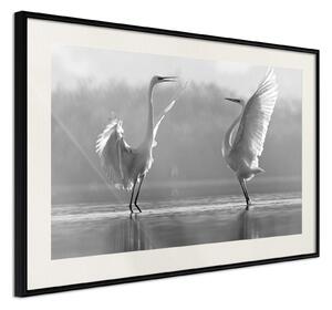 Inramad Poster / Tavla - Black and White Herons - 30x20 Svart ram med passepartout