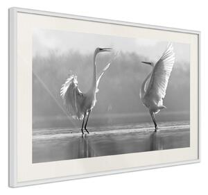 Inramad Poster / Tavla - Black and White Herons - 30x20 Vit ram med passepartout
