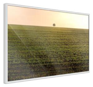 Inramad Poster / Tavla - Farmland - 90x60 Guldram