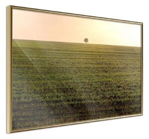 Inramad Poster / Tavla - Farmland - 90x60 Guldram