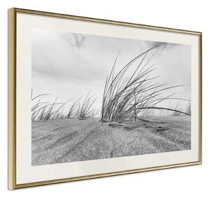 Inramad Poster / Tavla - Seaside Dunes - 30x20 Guldram
