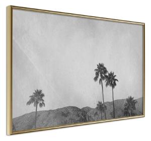 Inramad Poster / Tavla - Sky of California - 30x20 Guldram