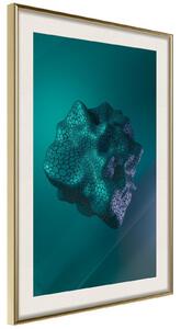 Inramad Poster / Tavla - Sea Fossil - 20x30 Guldram med passepartout