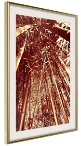 Inramad Poster / Tavla - Asian Forest - 30x45 Guldram med passepartout