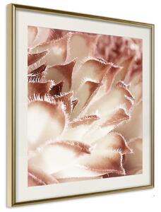 Inramad Poster / Tavla - Floral Calyx - 30x30 Svart ram