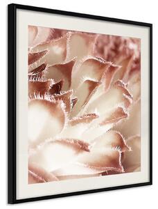 Inramad Poster / Tavla - Floral Calyx - 20x20 Svart ram med passepartout