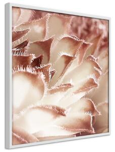 Inramad Poster / Tavla - Floral Calyx - 50x50 Svart ram med passepartout