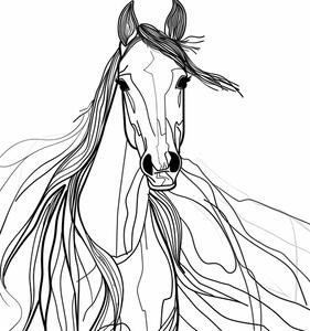 Illustration Line Horse, Justyna Jaszke