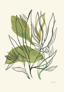 Illustration Foliage N.1, Catalina Somolinos, (26.7 x 40 cm)