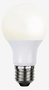 Globen Lighting - Ljuskälla E27 LED. Normal Opal, 10W - Vit - Ljuskällor & glödlampor - Från Homeroom