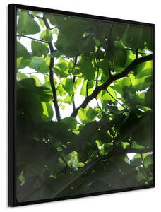 Inramad Poster / Tavla - Under Cover of Leaves - 20x20 Guldram