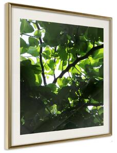 Inramad Poster / Tavla - Under Cover of Leaves - 50x50 Guldram