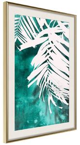 Inramad Poster / Tavla - White Palm on Teal Background - 20x30 Guldram med passepartout