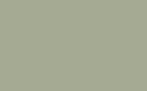 Boringdon Green - Absolute Matt Emulsion - 1 L