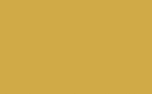 Yellow - Pink - Absolute Matt Emulsion - 5 L