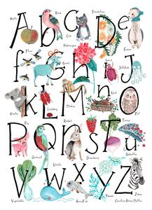 Illustration ABC illustration, Caroline Bonne Muller