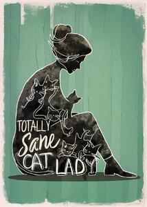 Illustration Totally Sane Cat Lady, Andreas Magnusson, (30 x 40 cm)