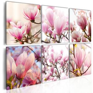 Canvas Tavla - Southern magnolias - 60x40