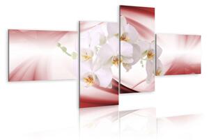 Canvas Tavla - An orchid in pink shade - 100x45