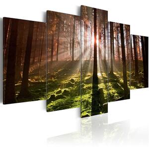 Canvas Tavla - Autumn silence - 100x50