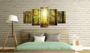Canvas Tavla - Mystical Forest - 200x100