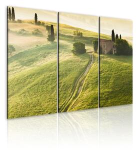Canvas Tavla - Under the Tuscan Sun - 60x40
