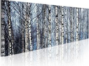 Canvas Tavla - Vita björkar - 120x40