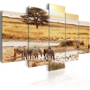Canvas Tavla - Zebras on a savannah - 100x50