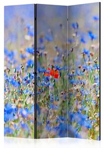 Rumsavdelare / Skärmvägg - A sky-colored meadow - cornflowers - 135x172