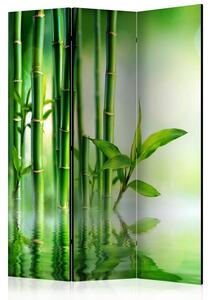Rumsavdelare / Skärmvägg - Bamboo Grove - 135x172