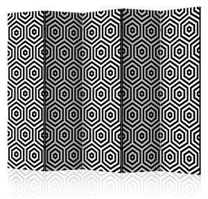 Rumsavdelare / Skärmvägg - Black and White Hypnosis II - 225x172