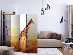 Rumsavdelare / Skärmvägg - giraffe - walk - 135x172
