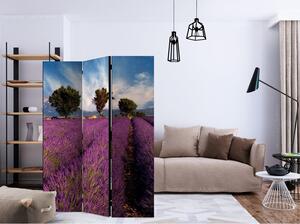 Rumsavdelare / Skärmvägg - Lavender field in Provence, France - 135x172