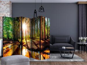 Rumsavdelare / Skärmvägg - Marvelous Forest II - 225x172